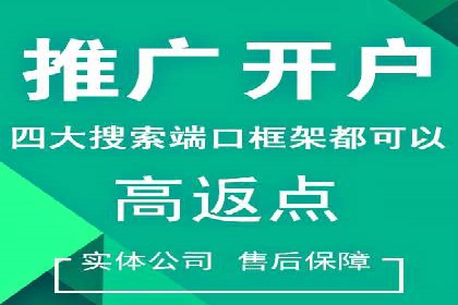 深度解析：百度推广的营销效果案例